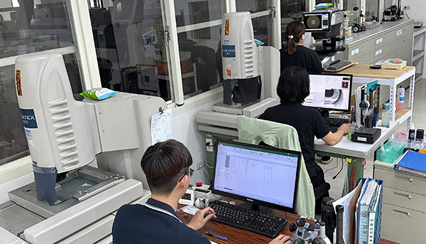 Quality Assurance Personnel Allocation